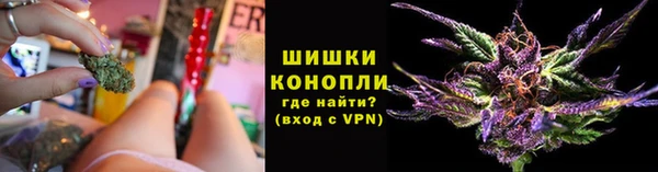 молекула духа Лиски
