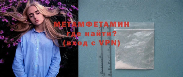 индика Ладушкин